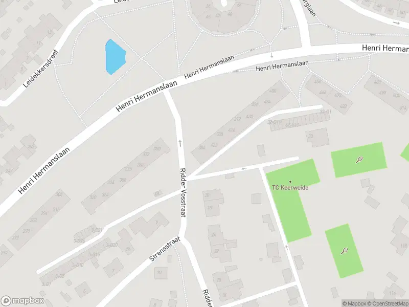 Overlastmelding Henri Hermanslaan in Geleen