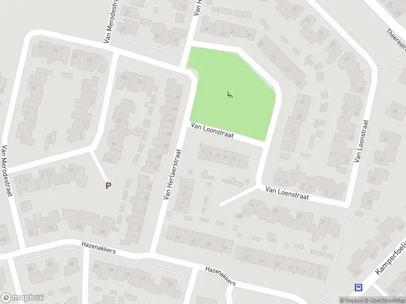 Overlastmelding Van Loonstraat in Sint-Michielsgestel