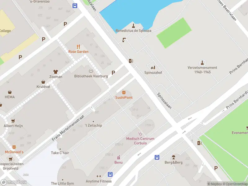 Brandweer met gepaste spoed naar de Frans Mortelmansstraat in Voorburg