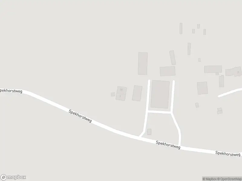 Politie naar de Spekhorstweg in Deurningen vanwege aanrijding met letsel