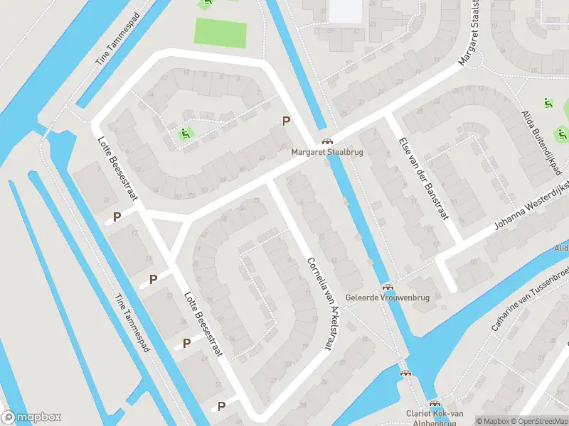Brandweer met gepaste spoed naar de Cornelia van Arkelstraat in Leiden vanwege dier(en) in nood