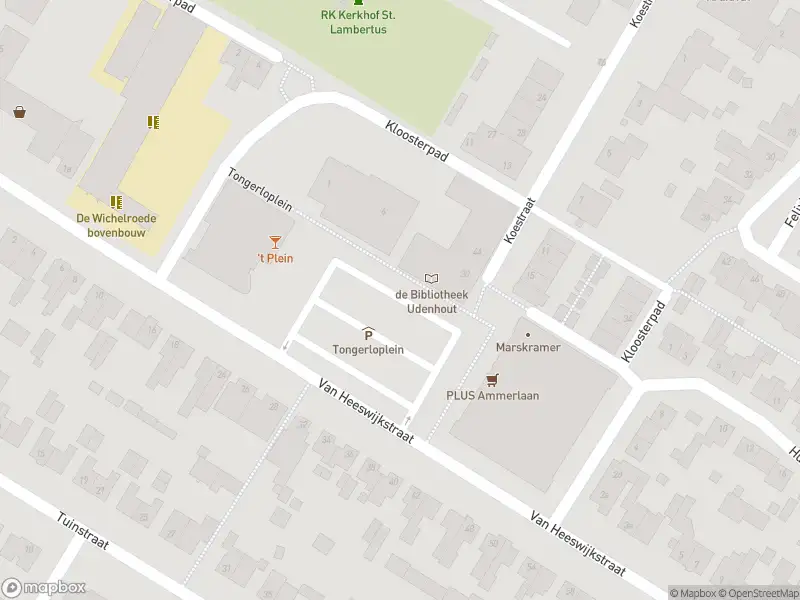 Overlastmelding Tongerloplein in Udenhout