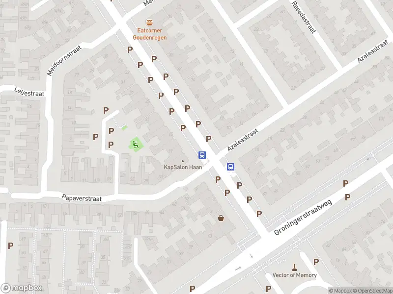 Brandweer met grote spoed naar de Goudenregenstraat in Leeuwarden vanwege voertuigbrand