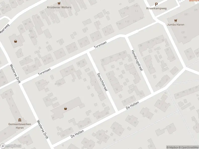 Brandweer met gepaste spoed naar de Gorechtstraat in Haren