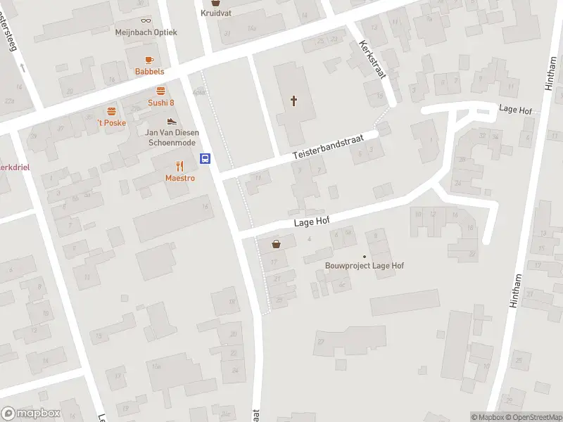 Traumahelikopter met grote spoed naar de Teisterbandstraat in Kerkdriel