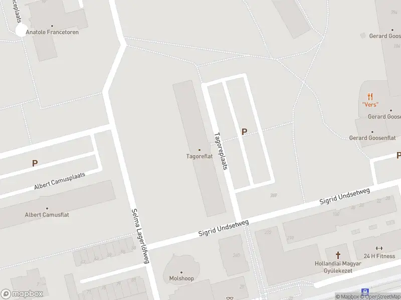 112 melding Ambulance met grote spoed naar de Tagoreplaats in Rotterdam