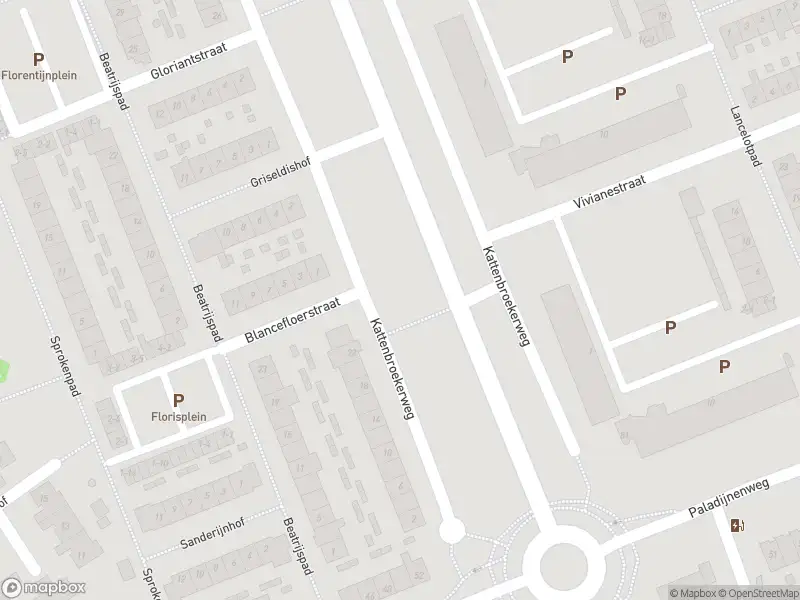 Brandweer met gepaste spoed naar de Kattenbroekerweg in Amersfoort vanwege waarnemen gaslucht