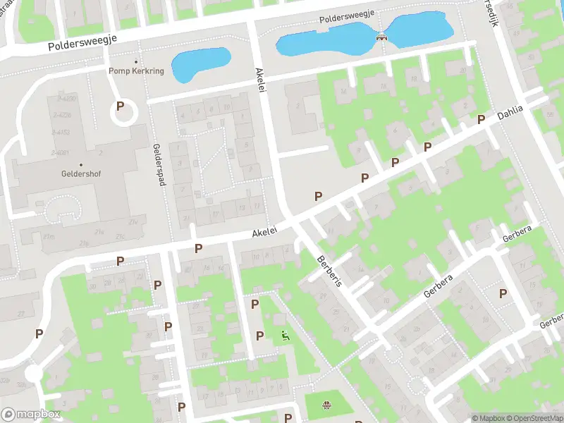 112 melding Overlastmelding Akelei in Dirksland