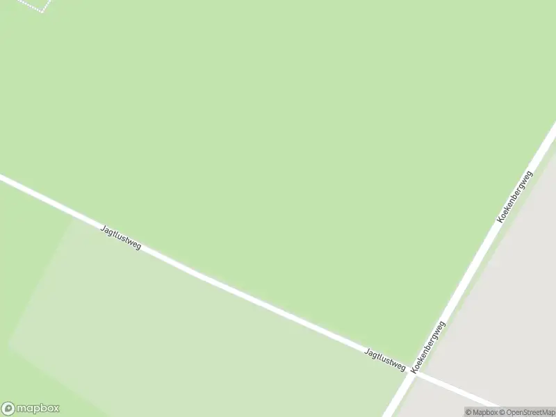 Brandweer met gepaste spoed naar de Jagtlustweg in Epe vanwege stormschade