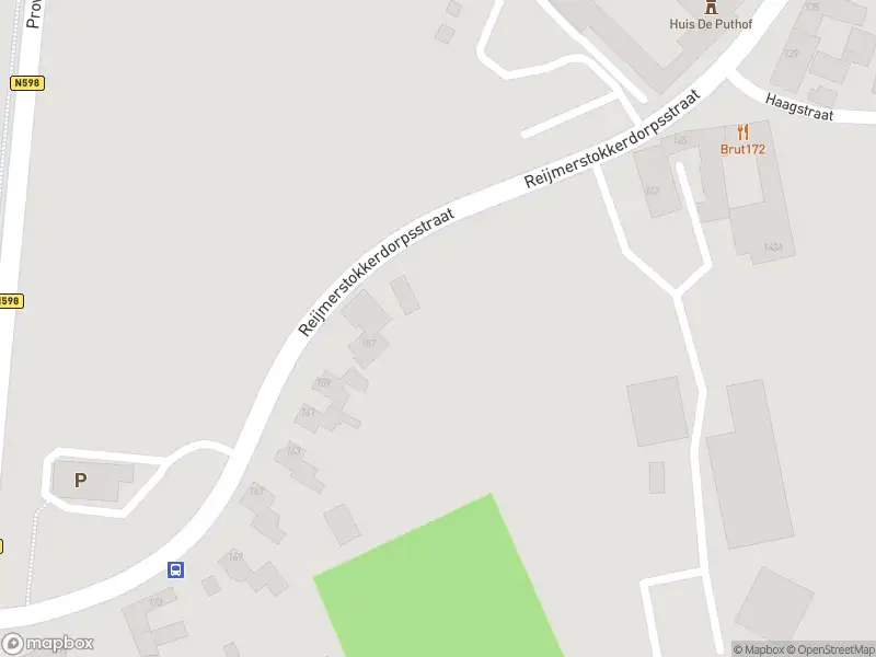 Overlastmelding Reijmerstokkerdorpsstraat in Reijmerstok