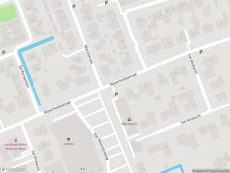 Brandweer met gepaste spoed naar de Nijverheidsstraat in Beneden-Leeuwen