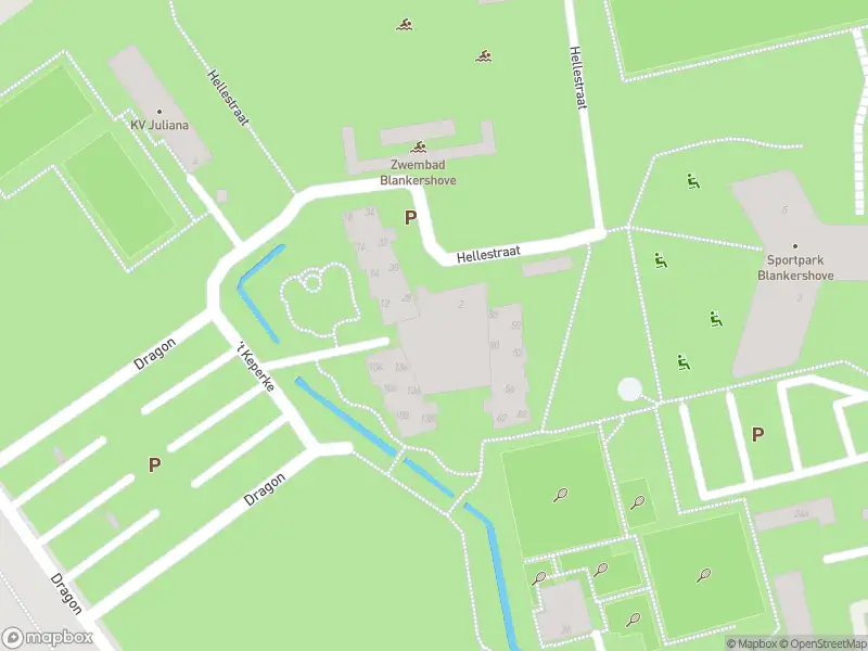 Brandweer met gepaste spoed naar de Dragon in Oud Gastel