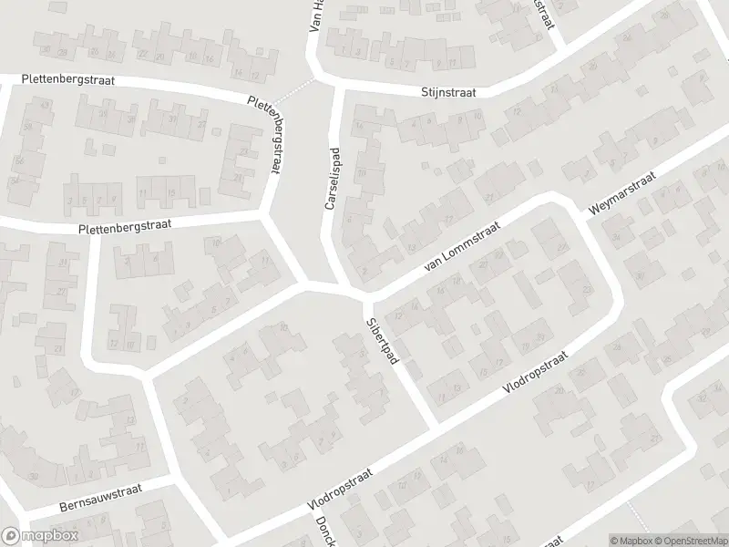 Ambulance met grote spoed naar de Carselispad in Maasbree