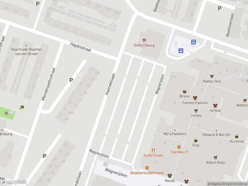 Overlastmelding Haendellaan in Tilburg