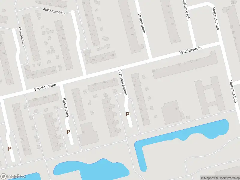 Ambulance met grote spoed naar de Frambozentuin in Rotterdam