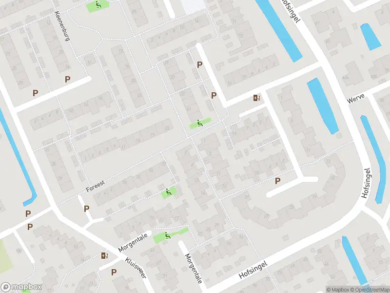 Ambulance met grote spoed naar de Riemtale in Maasland