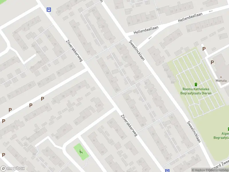 Overlastmelding Zilverakkerweg in Dieren gesloten