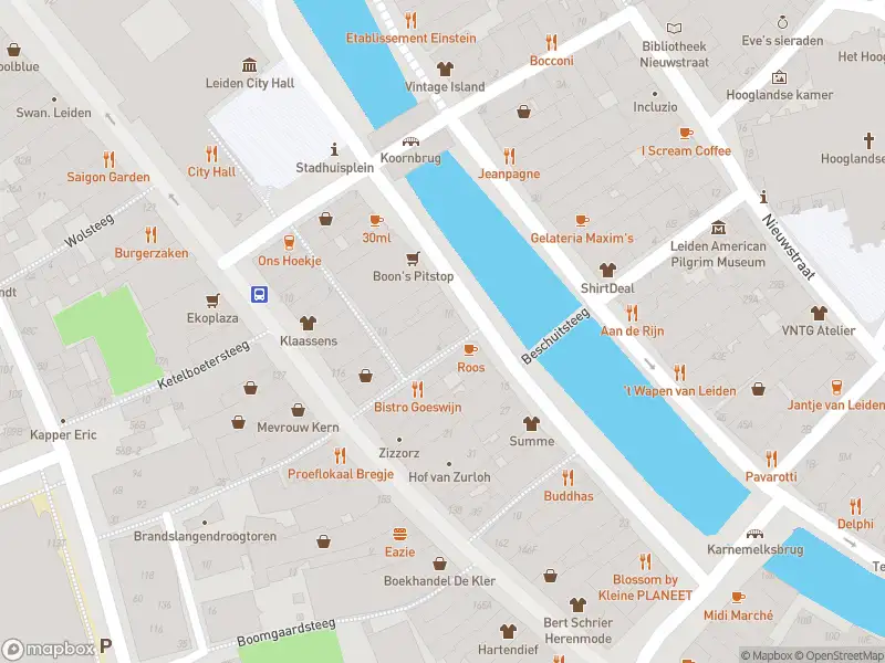 Brandweer met gepaste spoed naar de Rapenburg in Leiden vanwege afgaan automatisch brandalarm