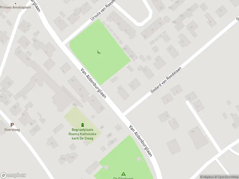 Overlastmelding Godard van Reedelaan in De Steeg