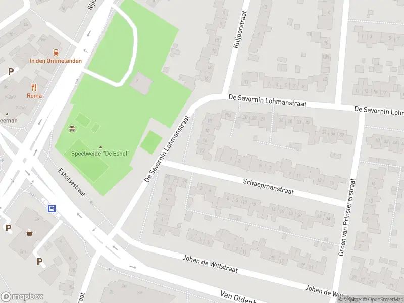 Overlastmelding De Savornin Lohmanstraat in Elst