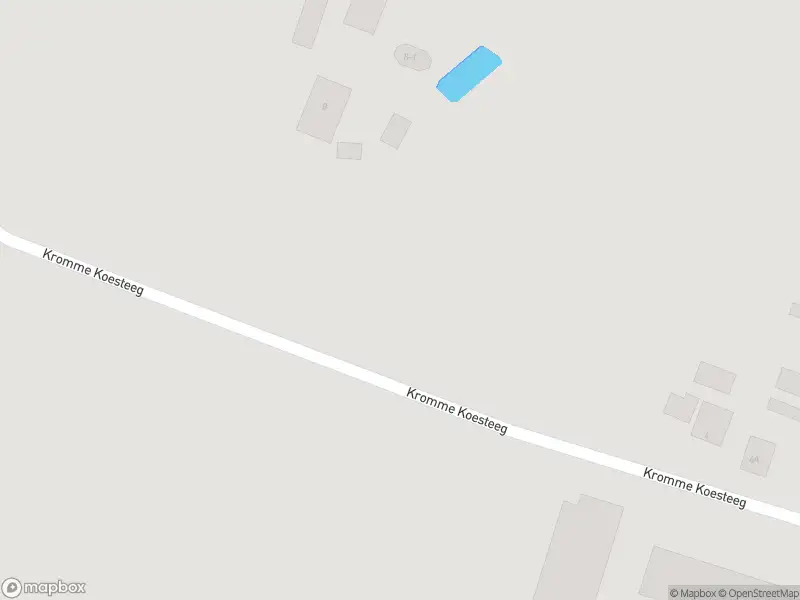 Traumahelikopter naar de Kromme Koesteeg in Putten