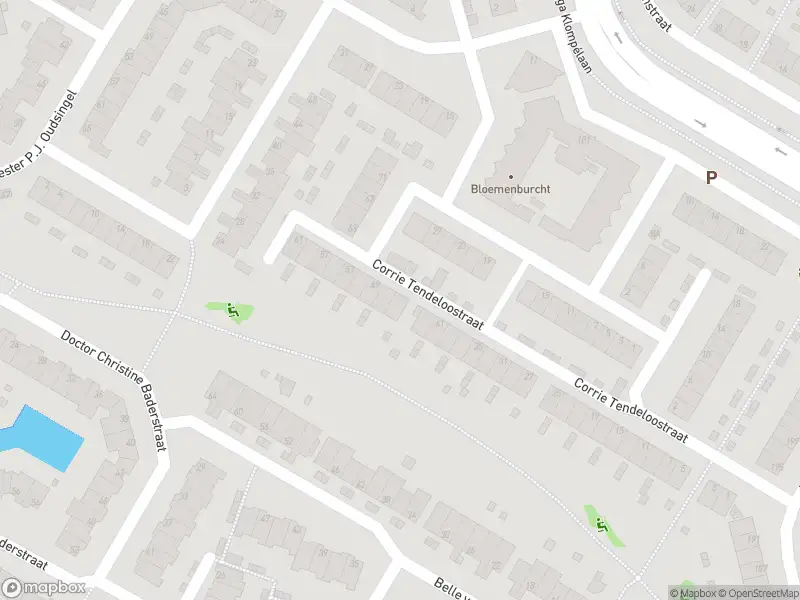 Overlastmelding Corrie Tendeloostraat in Arnhem