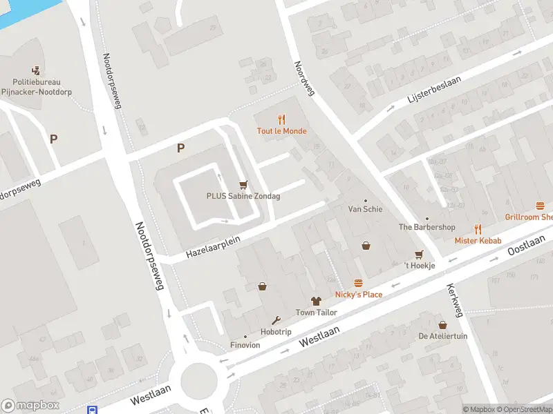 Ambulance met gepaste spoed naar de Hazelaarplein in Pijnacker