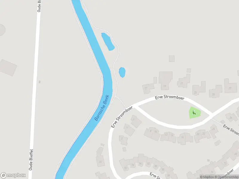 Politie naar de Weerselosestraat in Borne vanwege aanrijding met letsel