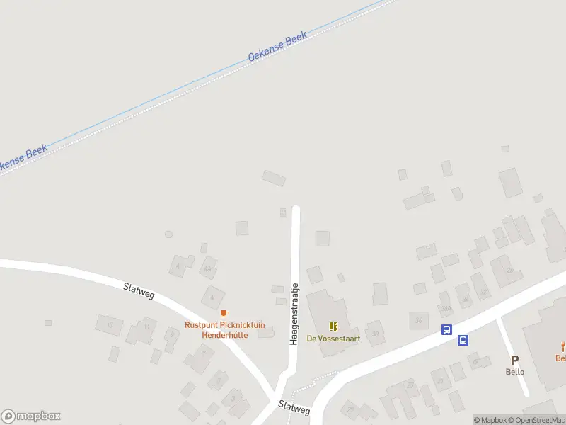 Overlastmelding Haagenstraatje in Hall