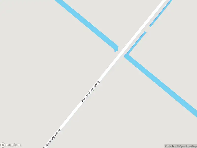 Ambulance met gepaste spoed naar de Koekendorpseweg in Zuidland