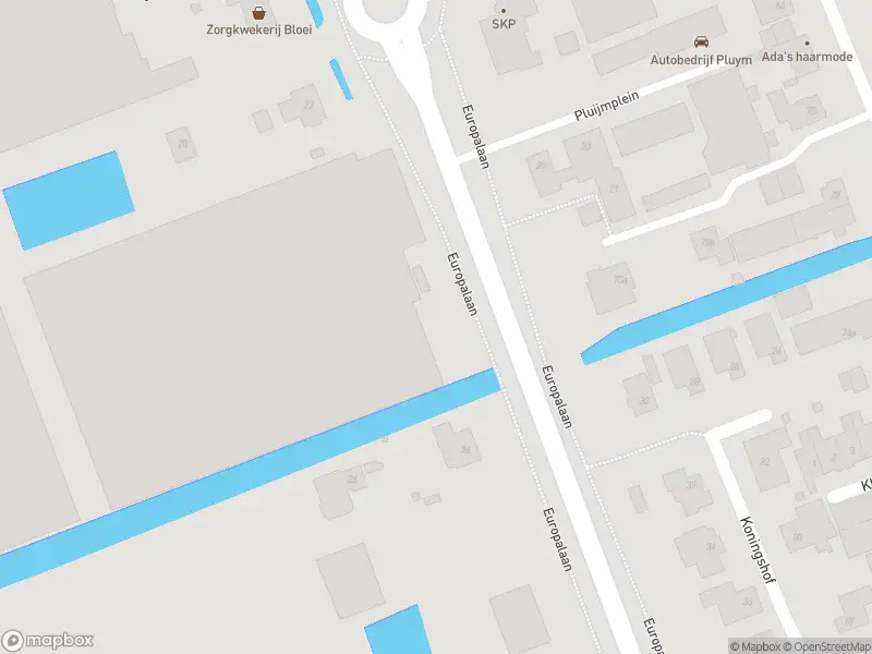 Ambulance met grote spoed naar de Europalaan in Pijnacker