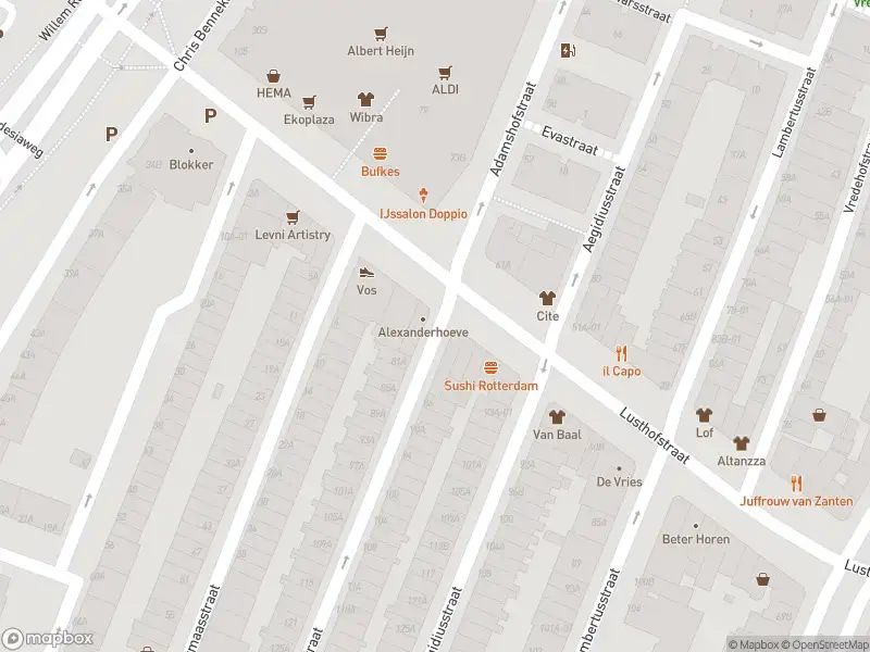 Ambulance met gepaste spoed naar de Lusthofstraat in Rotterdam