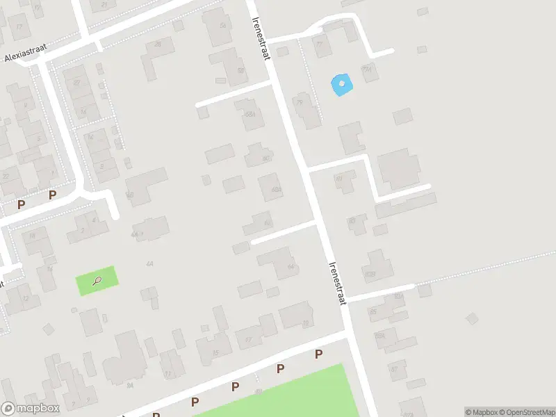 Overlastmelding Irenestraat in Sint Willebrord gesloten