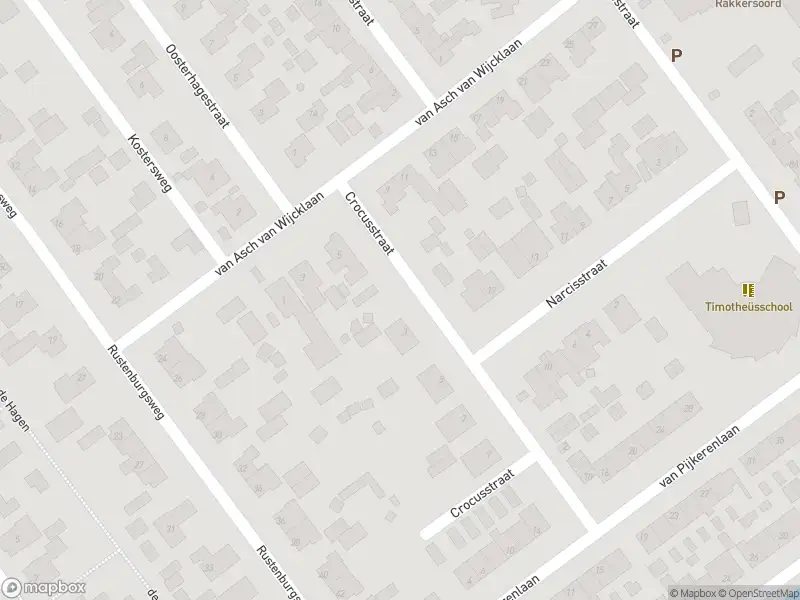 Brandweer met grote spoed naar de Van Asch Van Wijcklaan in Oldebroek