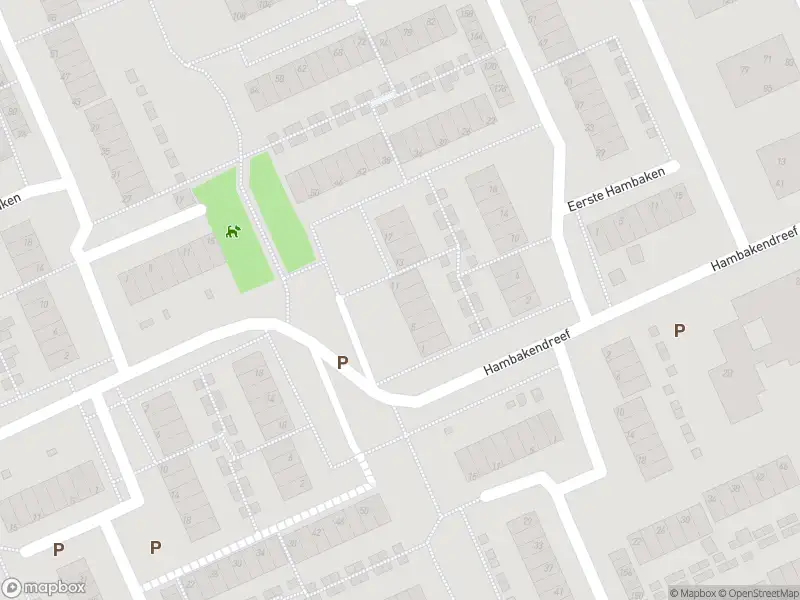 Brandweer met grote spoed naar de Derde Hambaken in 's-Hertogenbosch vanwege gebouwbrand