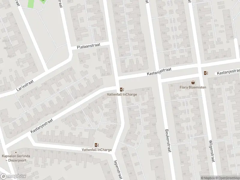 Brandweer met gepaste spoed naar de Eikenstraat in Zwolle