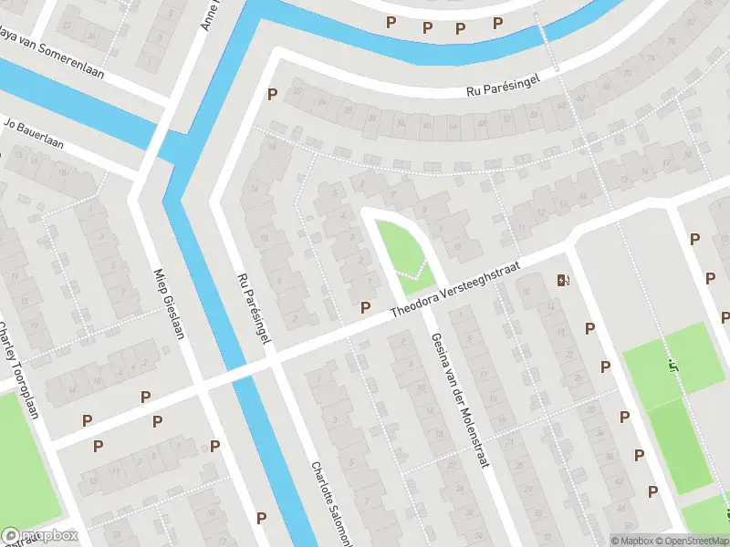 Ambulance met grote spoed naar de Theodora Versteeghstraat in Pijnacker