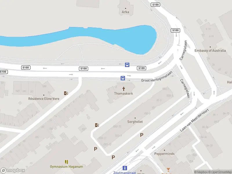 Brandweer met gepaste spoed naar de Groot Hertoginnelaan in 's-Gravenhage