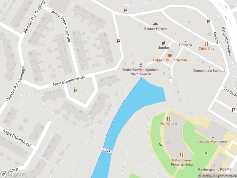 Brandweer met gepaste spoed naar de Mr. P.S. Gerbrandysingel in Arnhem