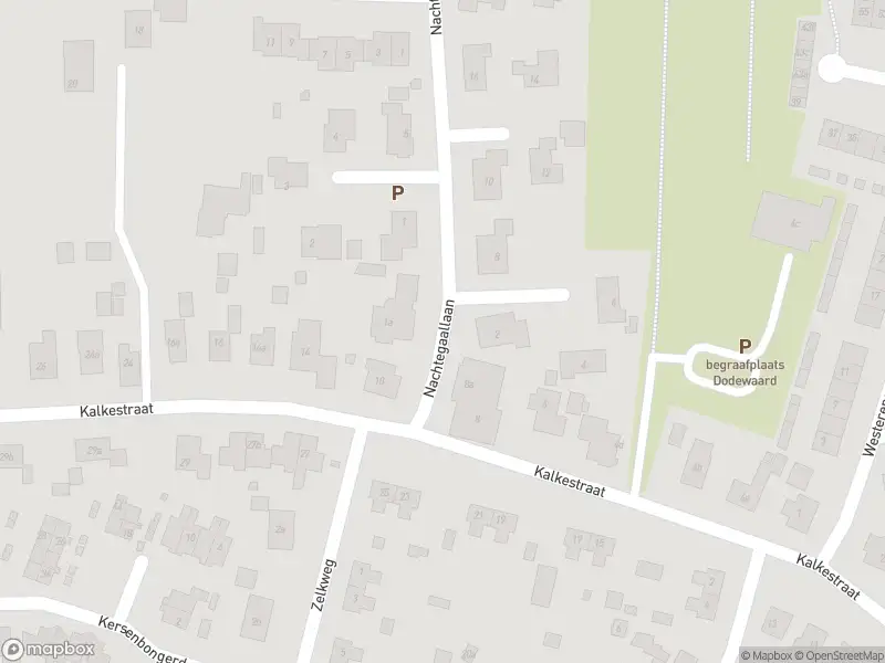 Brandweer met gepaste spoed naar de Nachtegaallaan in Dodewaard