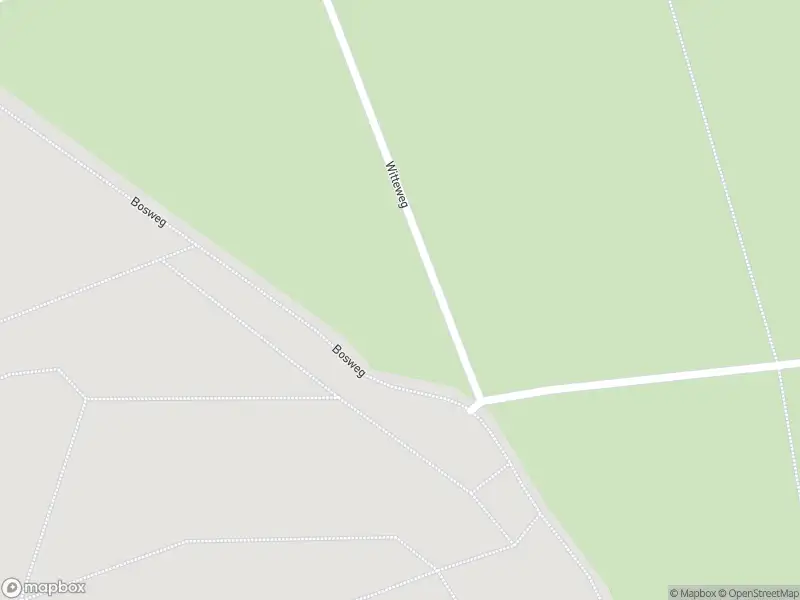 Brandweer met gepaste spoed naar de Veldsingel in Malden