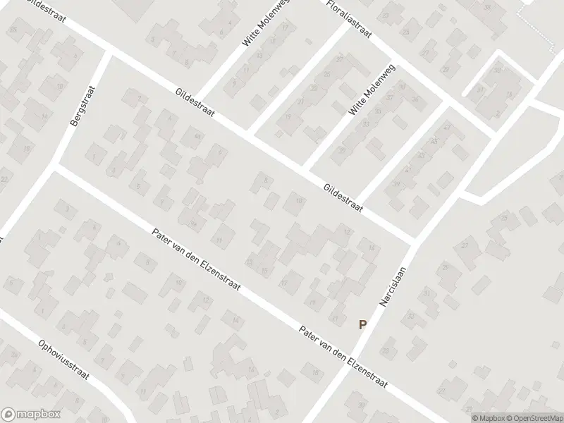 Brandweer met gepaste spoed naar de Asterstraat in Heesch vanwege een buitenbrand