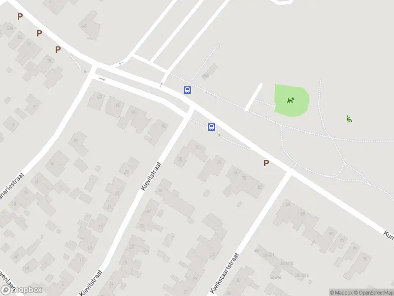 Overlastmelding Kummenaedestraat in Geleen