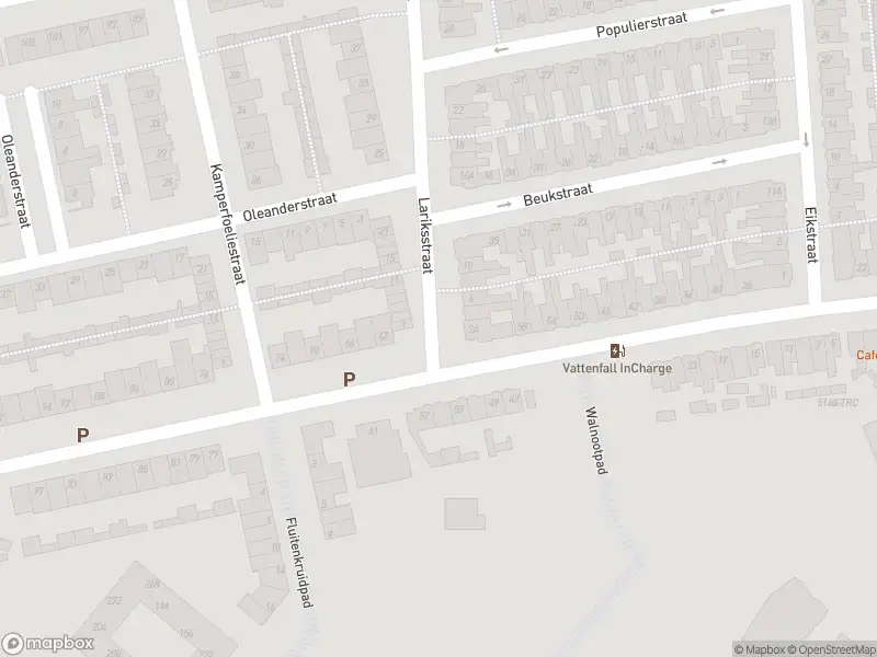 Brandweer met gepaste spoed naar de Lariksstraat in Breda