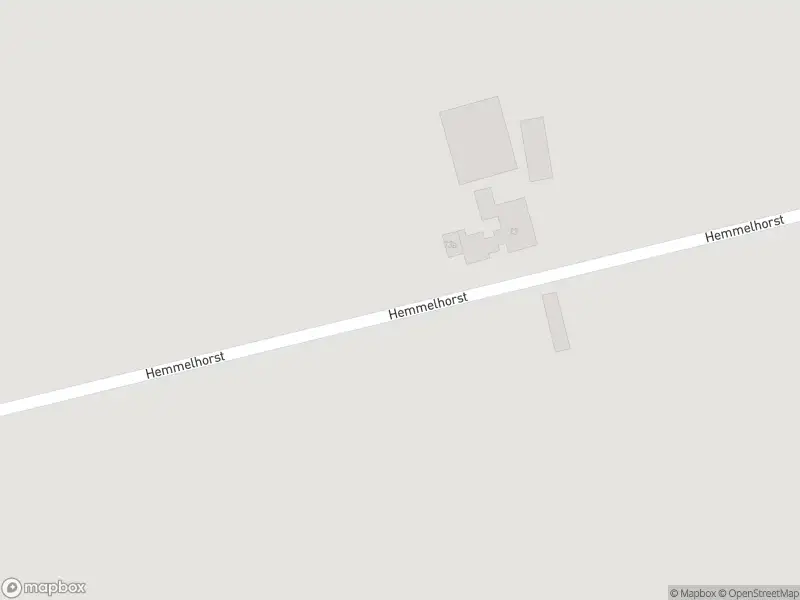 Politie naar de Hemmelhorst in Borne vanwege aanrijding met letsel