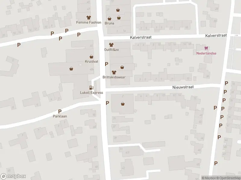 Ambulance met gepaste spoed naar de Nieuwstraat in Maasbracht