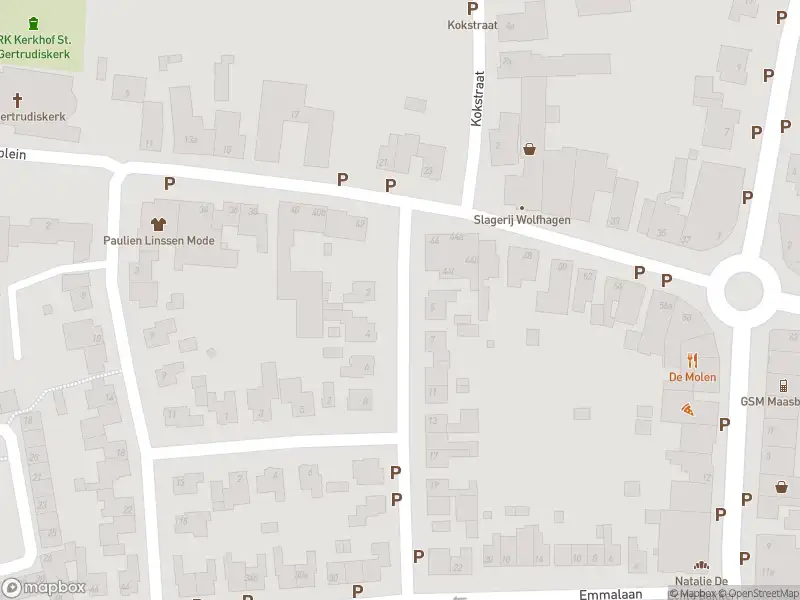 Brandweer met gepaste spoed naar de Posthuisstraat in Maasbracht