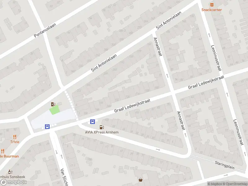 Overlastmelding Leoninusstraat in 6821ES Arnhem