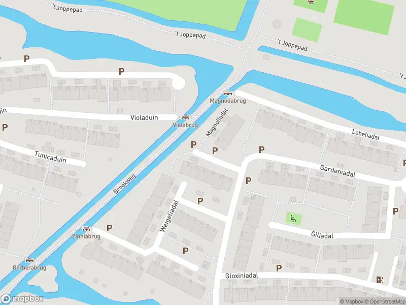 Ambulance met gepaste spoed naar de Magnoliadal in Leiden