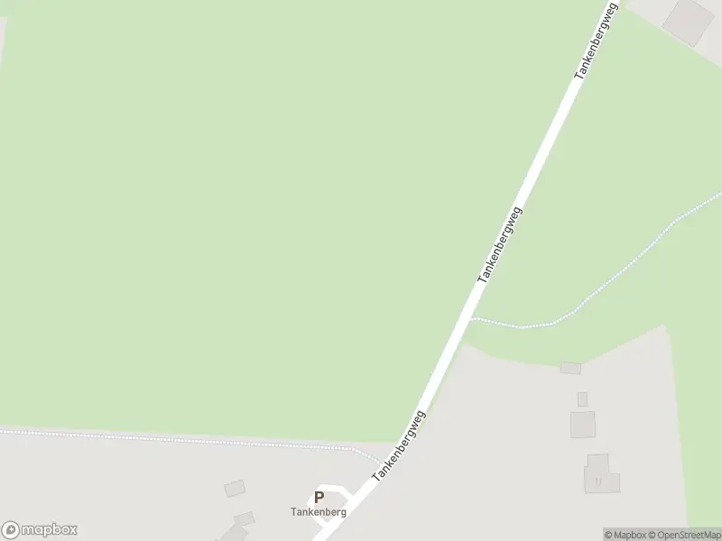 Brandweer met grote spoed naar de Tankenbergweg in De Lutte vanwege voertuigbrand